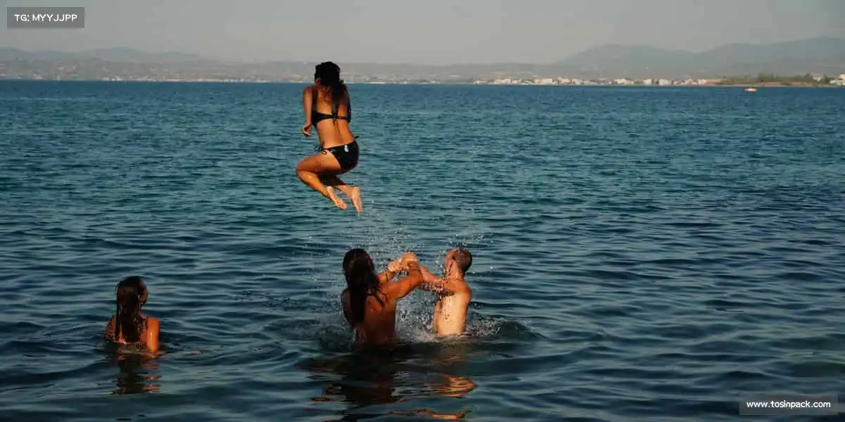 行业领先的理由